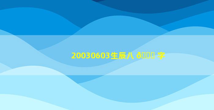 20030603生辰八 🐞 字